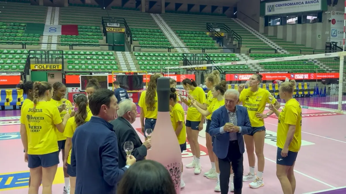 img, 排联赛, Nf img, 排联赛, Nf